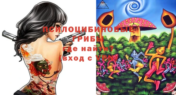 молекула духа Осинники