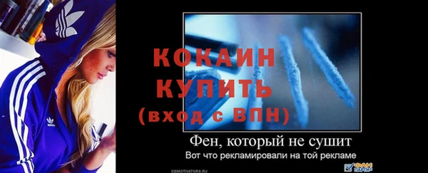 ГАЛЛЮЦИНОГЕННЫЕ ГРИБЫ Остров