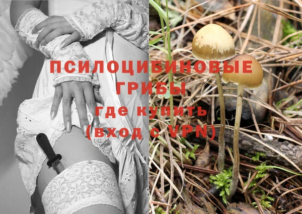 молекула духа Осинники