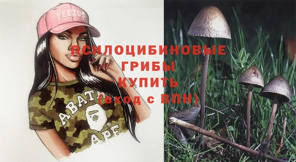 молекула духа Осинники