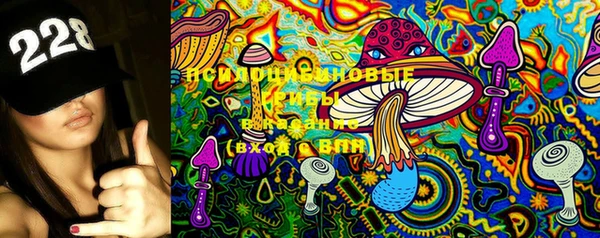 ГАЛЛЮЦИНОГЕННЫЕ ГРИБЫ Остров