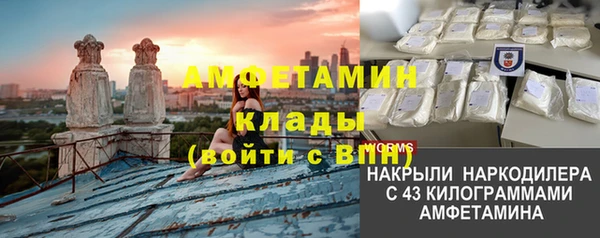 молекула духа Осинники