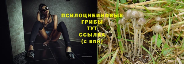 гидропоника Осташков